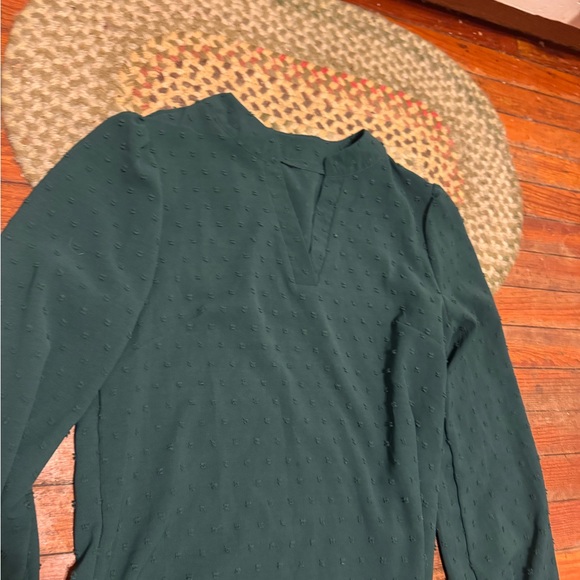 Elegant Green Swiss dot holiday Women's Top - Picture 5 of 5